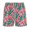 Suns <br>Boxer Capri