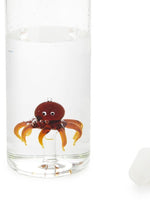 Balvi <br>Bottiglia Atlantis Octopus 1.2 L